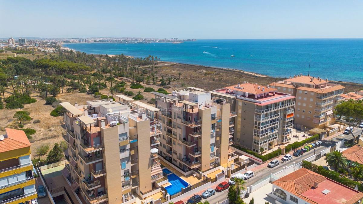 Продажа квартиры на Piso en Calle Pleamar, Punta Prima, Torrevieja, Торревьеха
photo 2