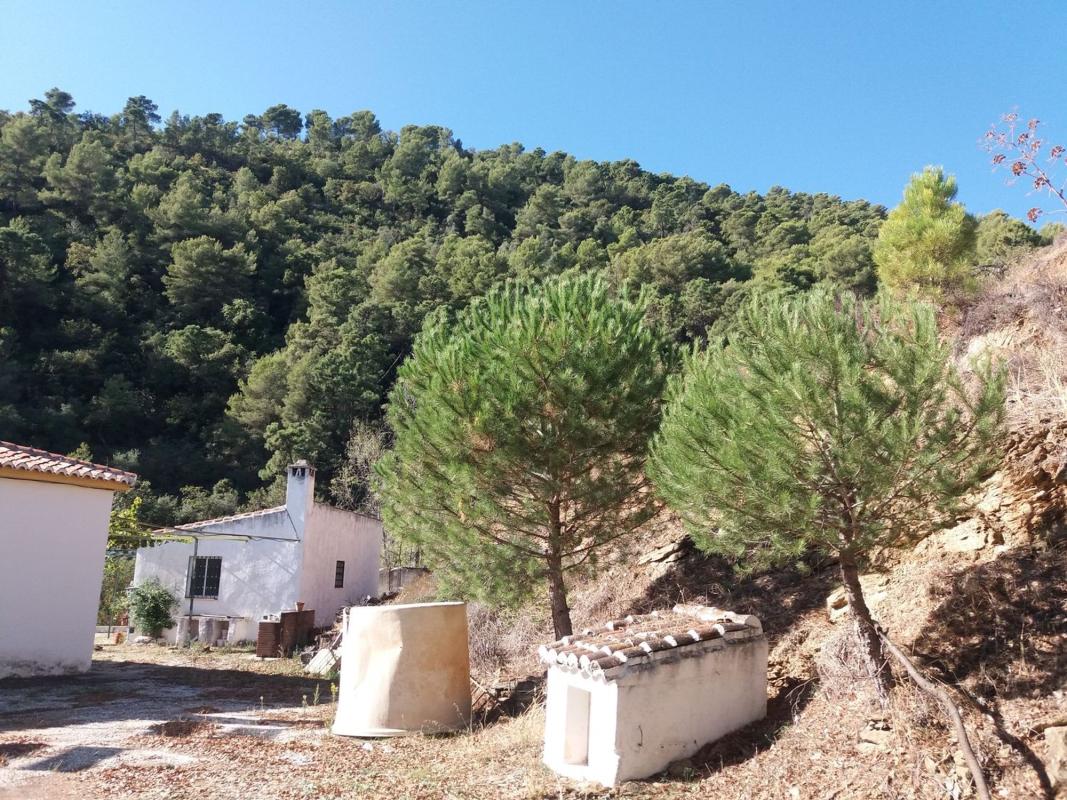 Продажа загородного участка в Finca rústica en Diseminado Diseminados, 146, Yunquera , Юнкера photo 1
