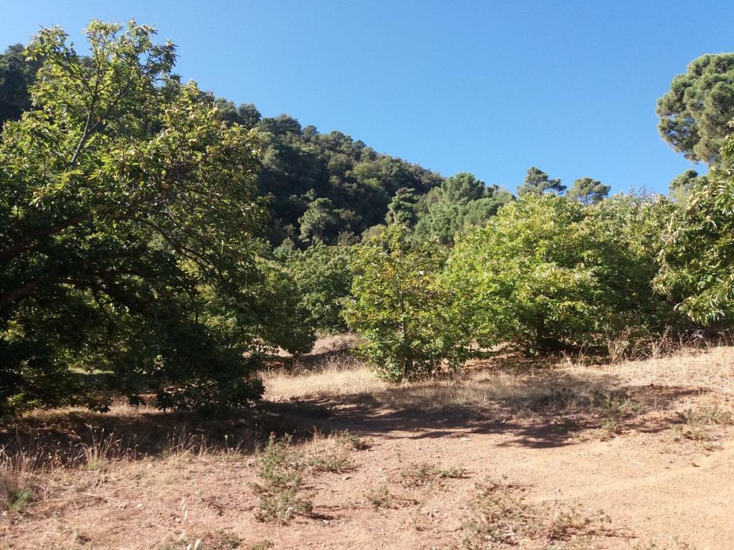 Продажа загородного участка в Finca rústica en Diseminado Diseminados, 146, Yunquera , Юнкера photo 5