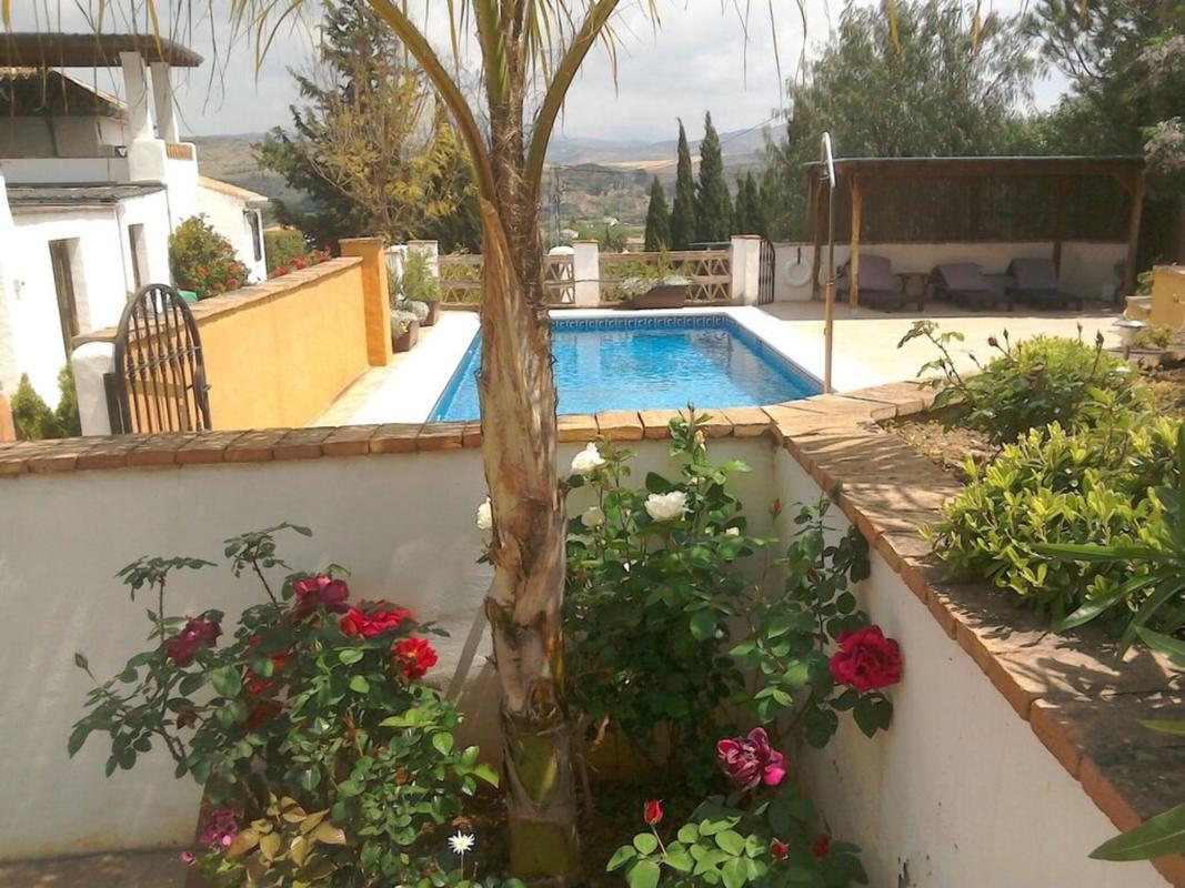 Properties for sale and rent in Spain photo 5