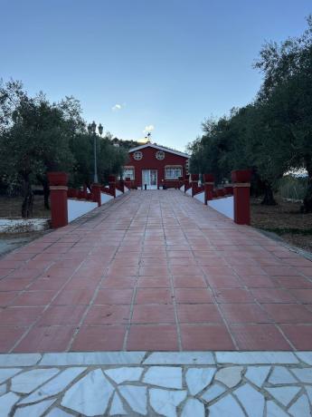 Casa o chalet independiente en Calle Hebe, 3, Coin photo 1
