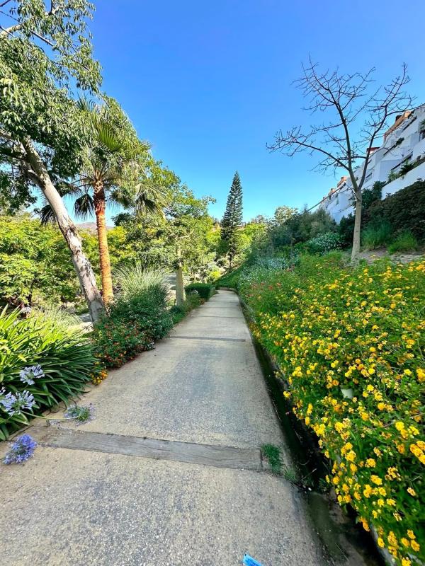 Sprzedaż mieszkania w Piso en Avenida de la Resina, 114, La Concha-Resina Golf, Estepona, Estepona
photo 3