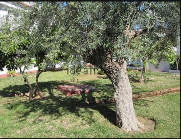 Casa o chalet independiente en Avenida San Isidro, 1, Pinares de San Antón, Málaga thumbnail 1