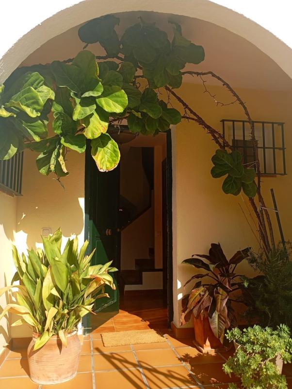Properties for sale and rent in Spain photo 3