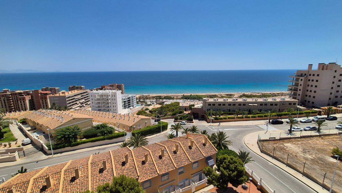 Sale of apartment in Piso en Avenida Costa Blanca, Arenales del Sol, Elche / Elx, Elche / Elx
 photo 4