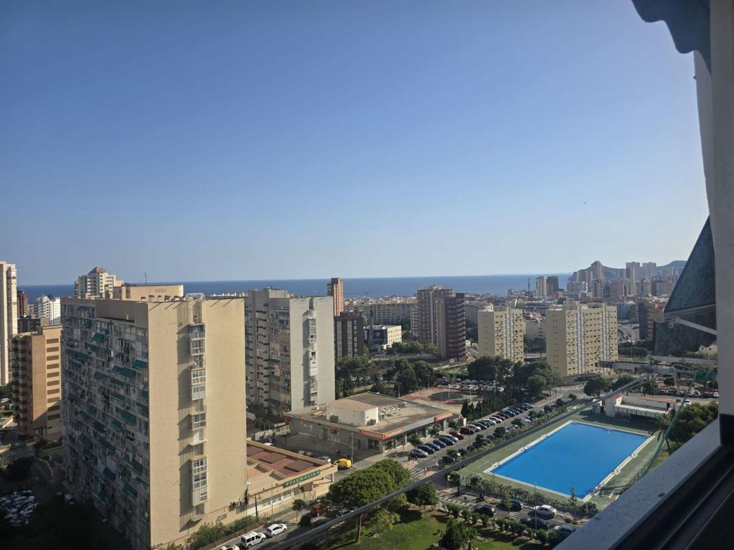 Venta de estudio en Estudio en Avenida de Suecia, Pueblo Levante, Benidorm, Benidorm photo 1