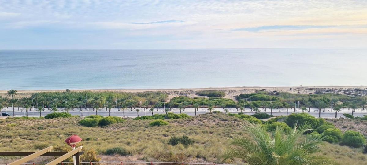 Properties for sale and rent in Spain photo 1