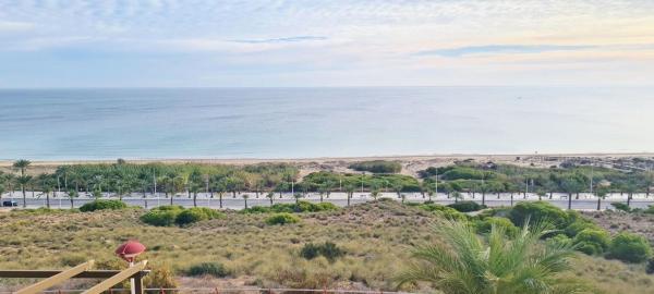 Casa o chalet independiente en Arenales del Sol, Elche / Elx photo 1