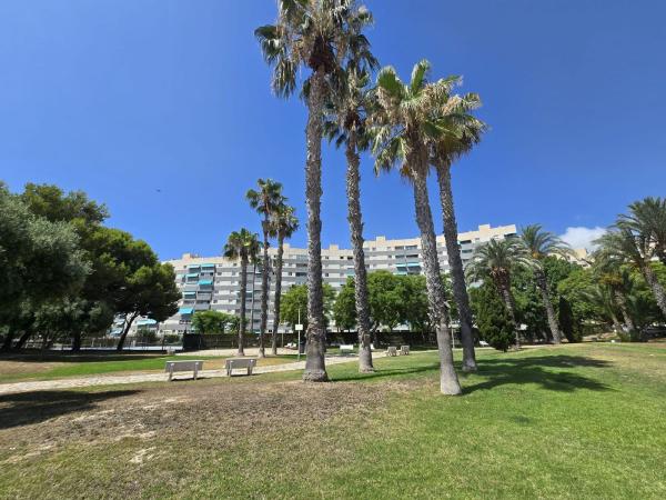 Продажа квартиры на Piso en Camino de Fondo, Playa Muchavista, El Campello, Эль Кампельо
photo 1