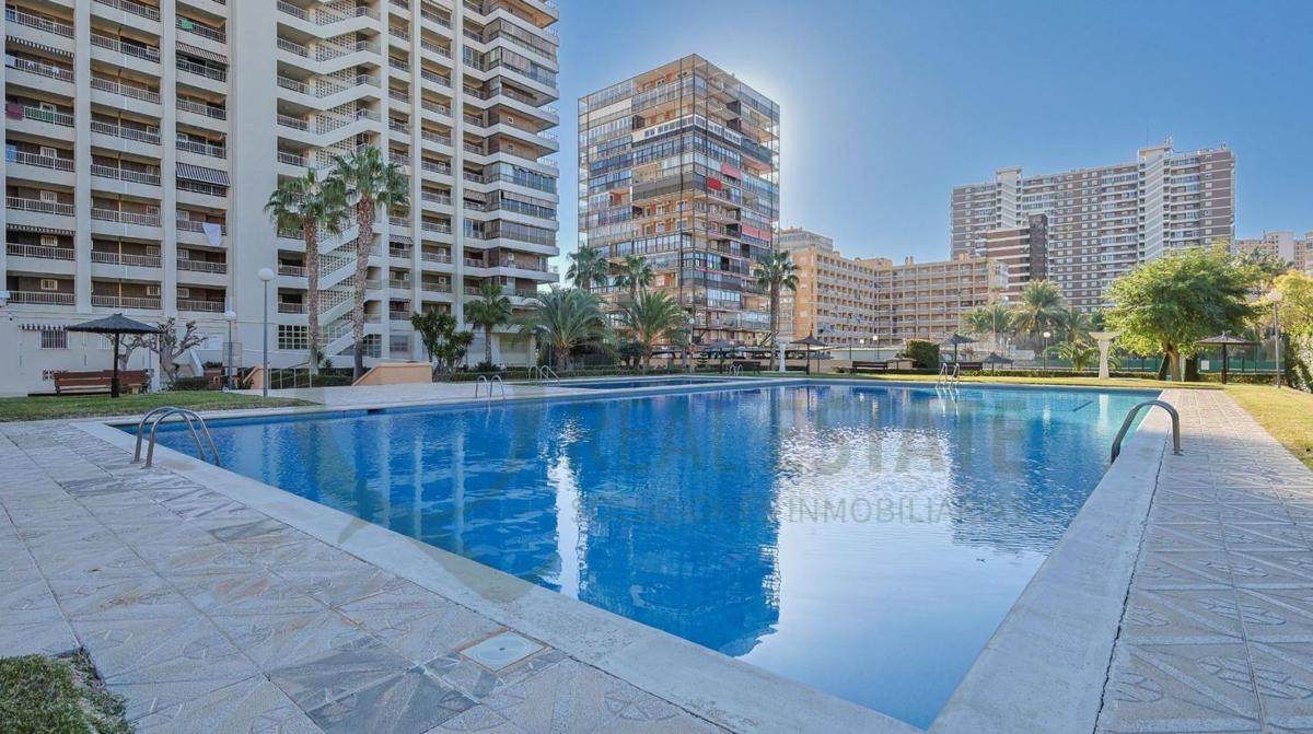 Sale of apartment in Piso en Avenida de la Costa Blanca, Playa de San Juan, Alicante / Alacant, Alicante
photo 3