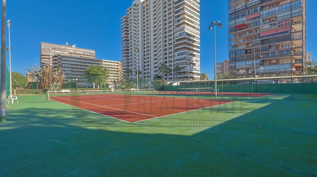 Sale of apartment in Piso en Avenida de la Costa Blanca, Playa de San Juan, Alicante / Alacant, Alicante
photo 4