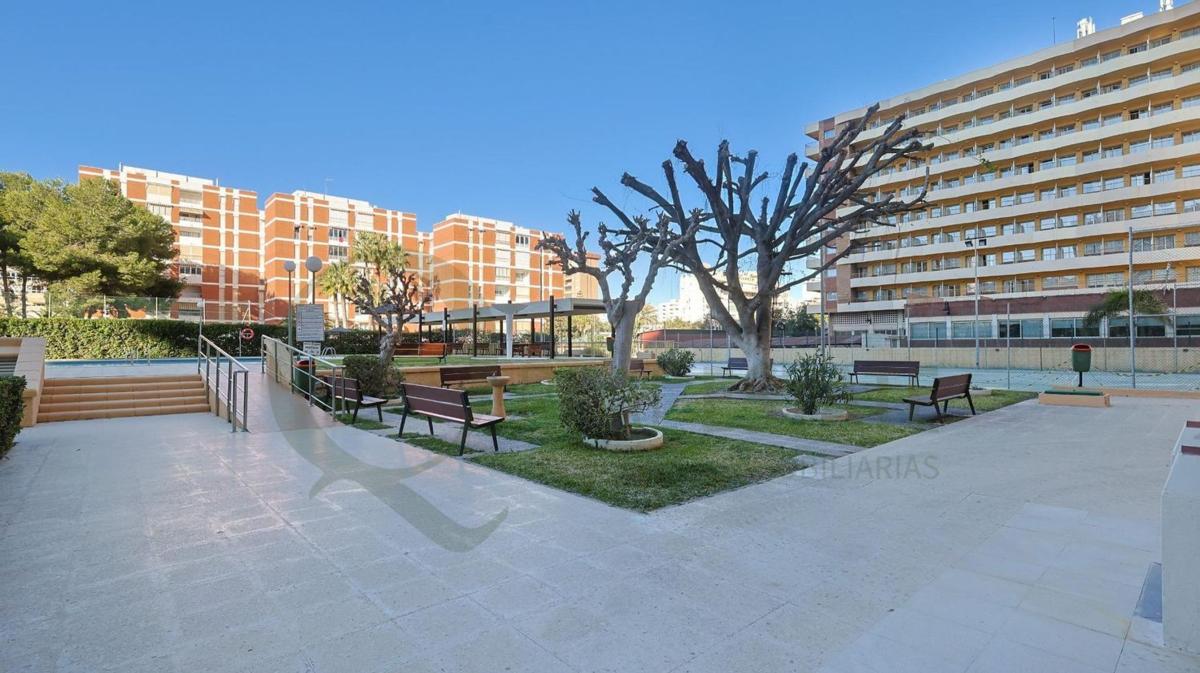 Sale of apartment in Piso en Avenida de la Costa Blanca, Playa de San Juan, Alicante / Alacant, Alicante
photo 5