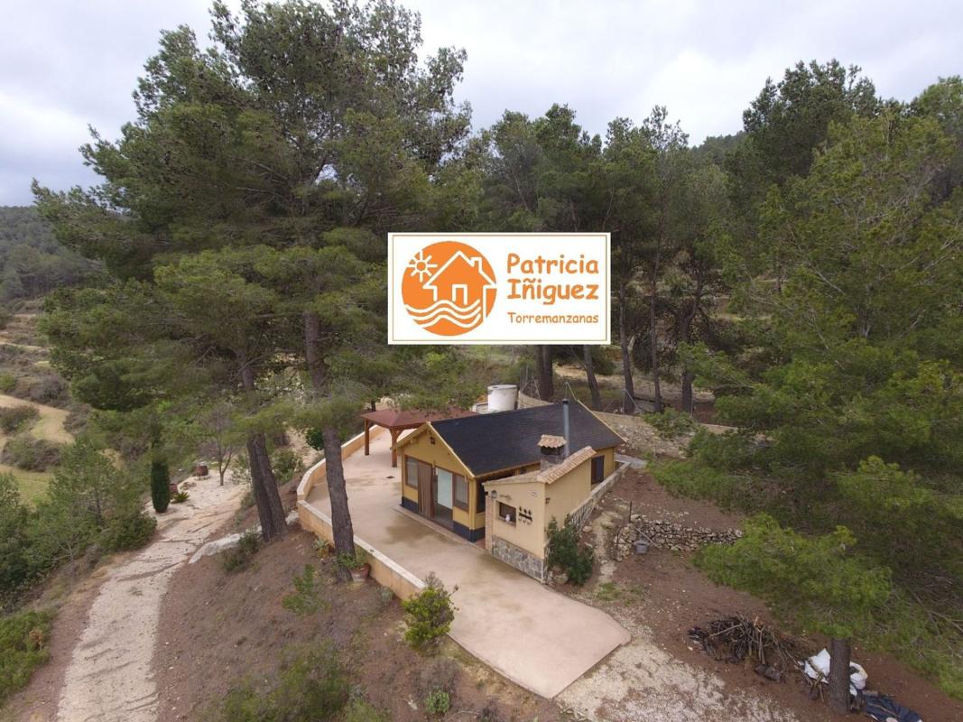 Продажа загородного участка в Finca rústica en Buitre, 32, Torremanzanas , Торремансас photo 2