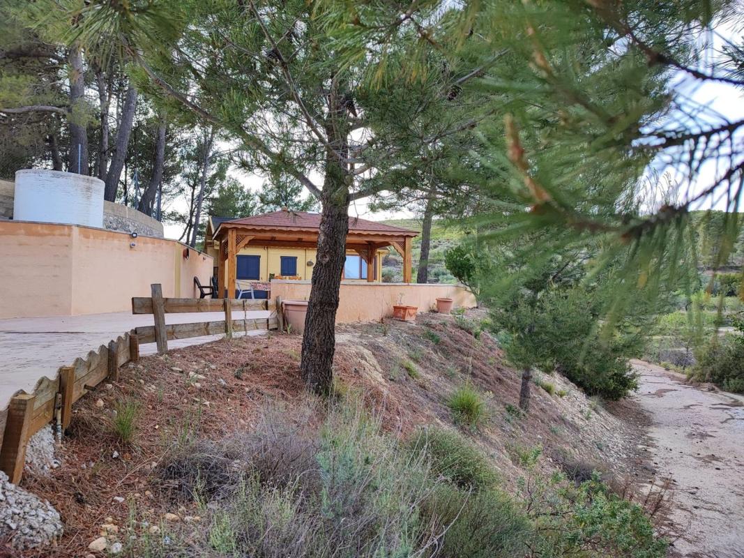 Продажа загородного участка в Finca rústica en Buitre, 32, Torremanzanas , Торремансас photo 5