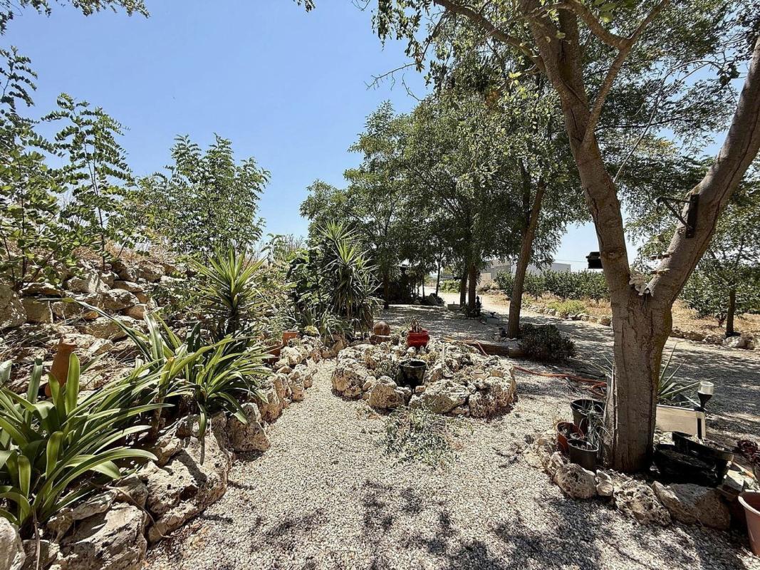 Продажа отдельного шале в  Casa o chalet en Calle Sax, Las Cruces, Villena, Вильена photo 5