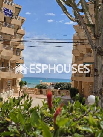 Venta de piso en Piso en Guardamar Playa, Guardamar del Segura, Guardamar del Segura
photo 1