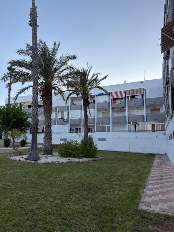 Продажа квартиры на Piso en Avenida de Holanda, 2, Mil Palmeras, Pilar de la Horadada, Пилар де ла Орадада
photo 3
