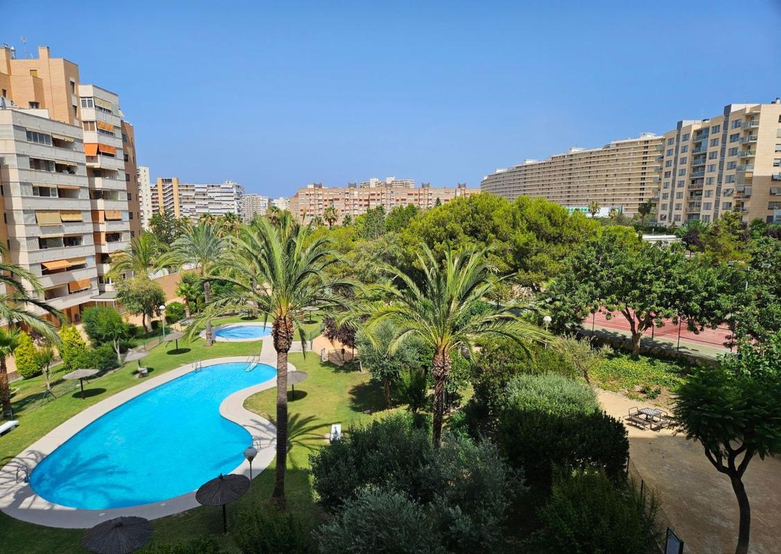 Venta de piso en Piso en Calle Catedratic Abelardo Rigual, 12, Playa de San Juan, Alicante / Alacant, Alicante / Alacant
photo 1