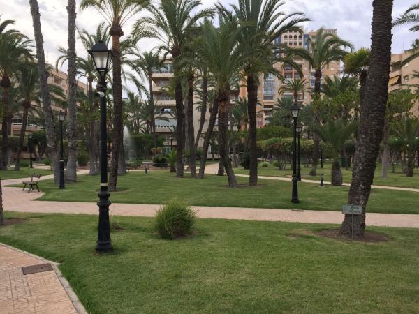 Venta de piso en Piso en Avenida Mariano Ruiz Canovas s/n, Playa de los Locos, Torrevieja, Torrevieja
thumbnail 3