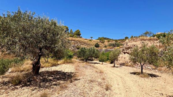 Продаётся загородный участок в  Finca rústica en Font La Figuera 16, Poligono 12, 229, Relleu , Рельеу photo 4