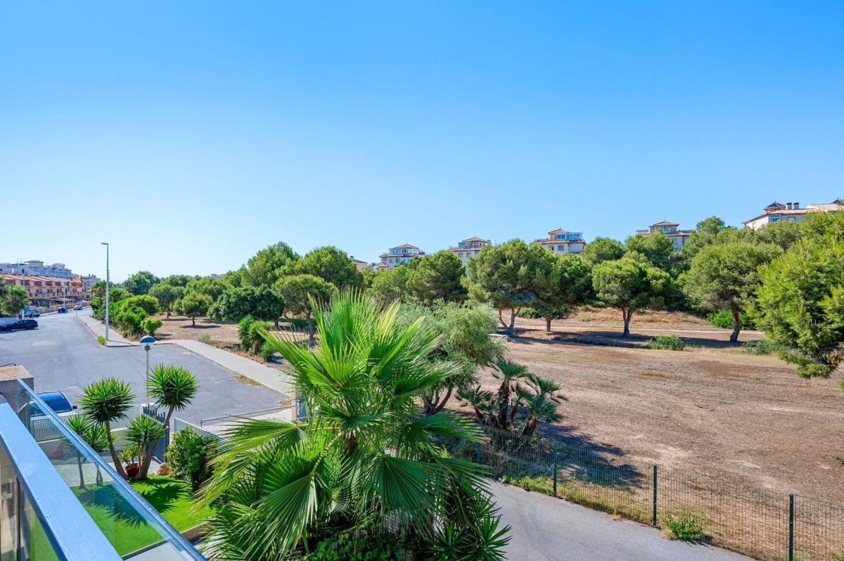 Properties for sale and rent in Spain photo 3