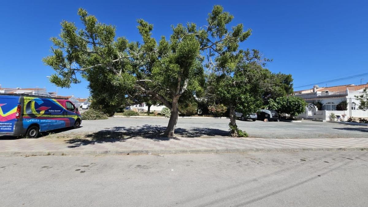 Продажа отдельного шале в Casa o chalet independiente en Calle Lejona, La Siesta - El Salado - Torreta, Torrevieja, Торревьеха photo 3