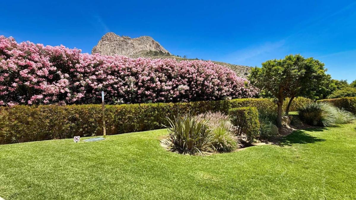 Продажа квартиры на Piso en Calle Pagell Mascarat, Zona de Mascarat, Altea, Алтея
photo 4