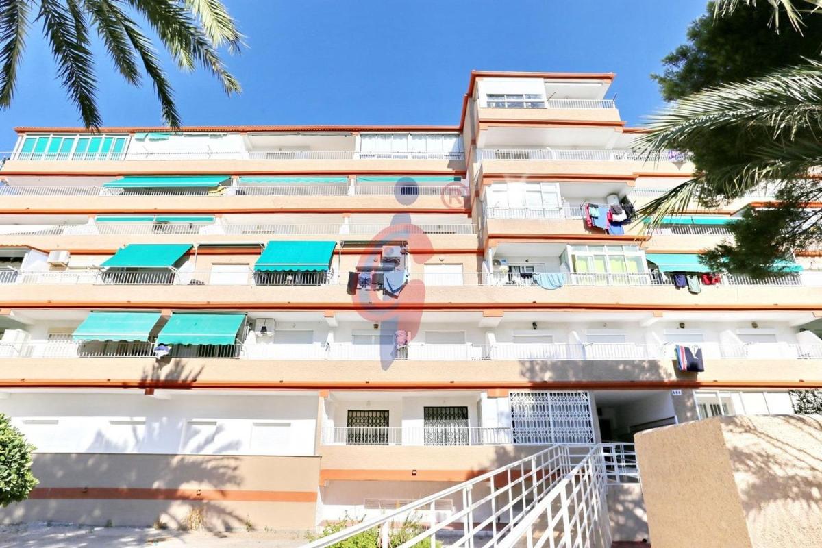 Sale of apartment in Piso en Partida Lomas del Polo, 6, Urbanizaciones, Guardamar del Segura, Guardamar del Segura
photo 1