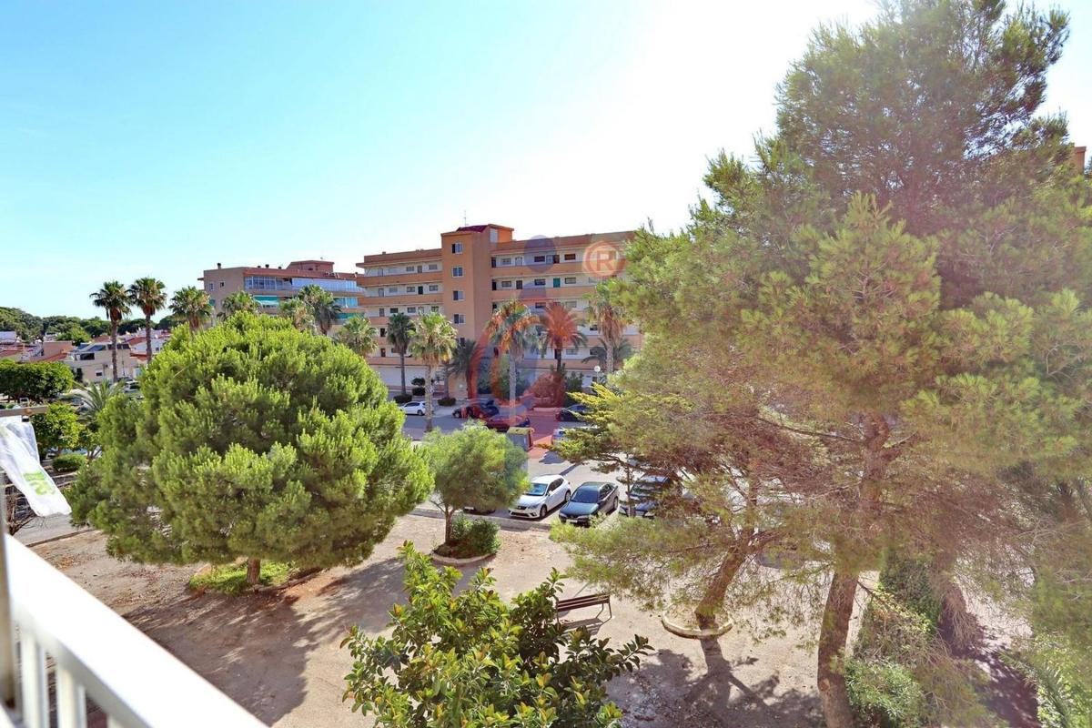 Sale of apartment in Piso en Partida Lomas del Polo, 6, Urbanizaciones, Guardamar del Segura, Guardamar del Segura
photo 4