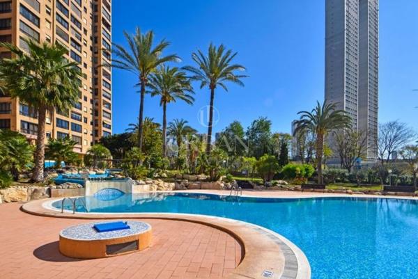 Sprzedaż mieszkania w Piso en Playa de Poniente, Benidorm, Benidorm
 photo 3