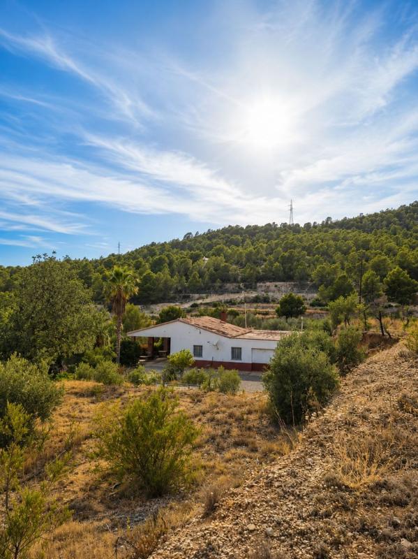 Properties for sale and rent in Spain photo 1
