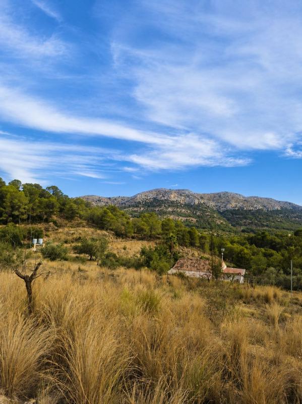 Properties for sale and rent in Spain photo 2