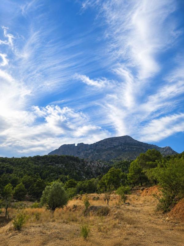Properties for sale and rent in Spain photo 3