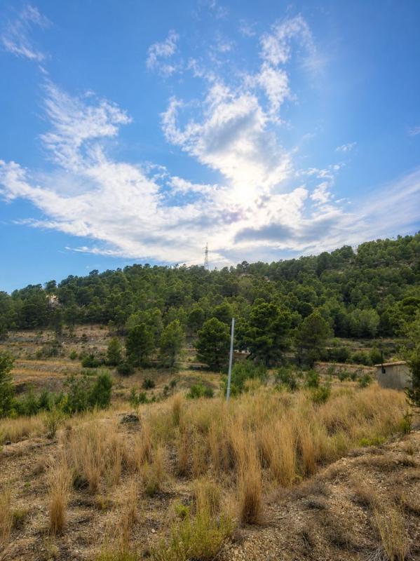 Properties for sale and rent in Spain photo 4
