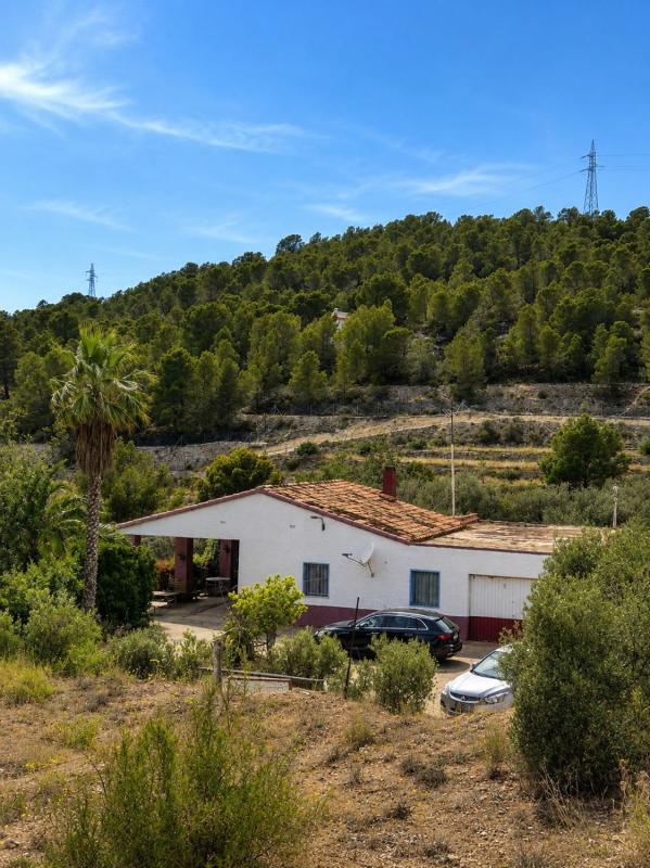 Properties for sale and rent in Spain photo 5