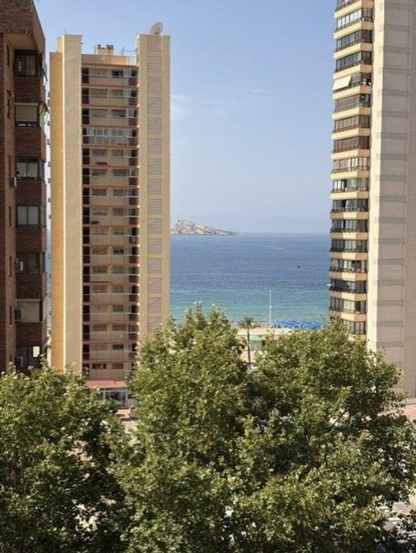 Продажа квартиры на Piso en Avenida del Mediterráneo, Playa de Levante, Benidorm, Бенидорм
photo 1