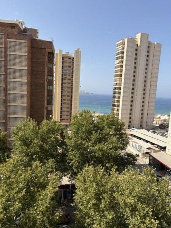 Продажа квартиры на Piso en Avenida del Mediterráneo, Playa de Levante, Benidorm, Бенидорм
photo 2