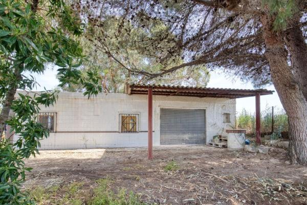 Rustic farm for sale in Finca rústica en Partida Marina, La Marina, Elche / Elx , Elche / Elx thumbnail 1