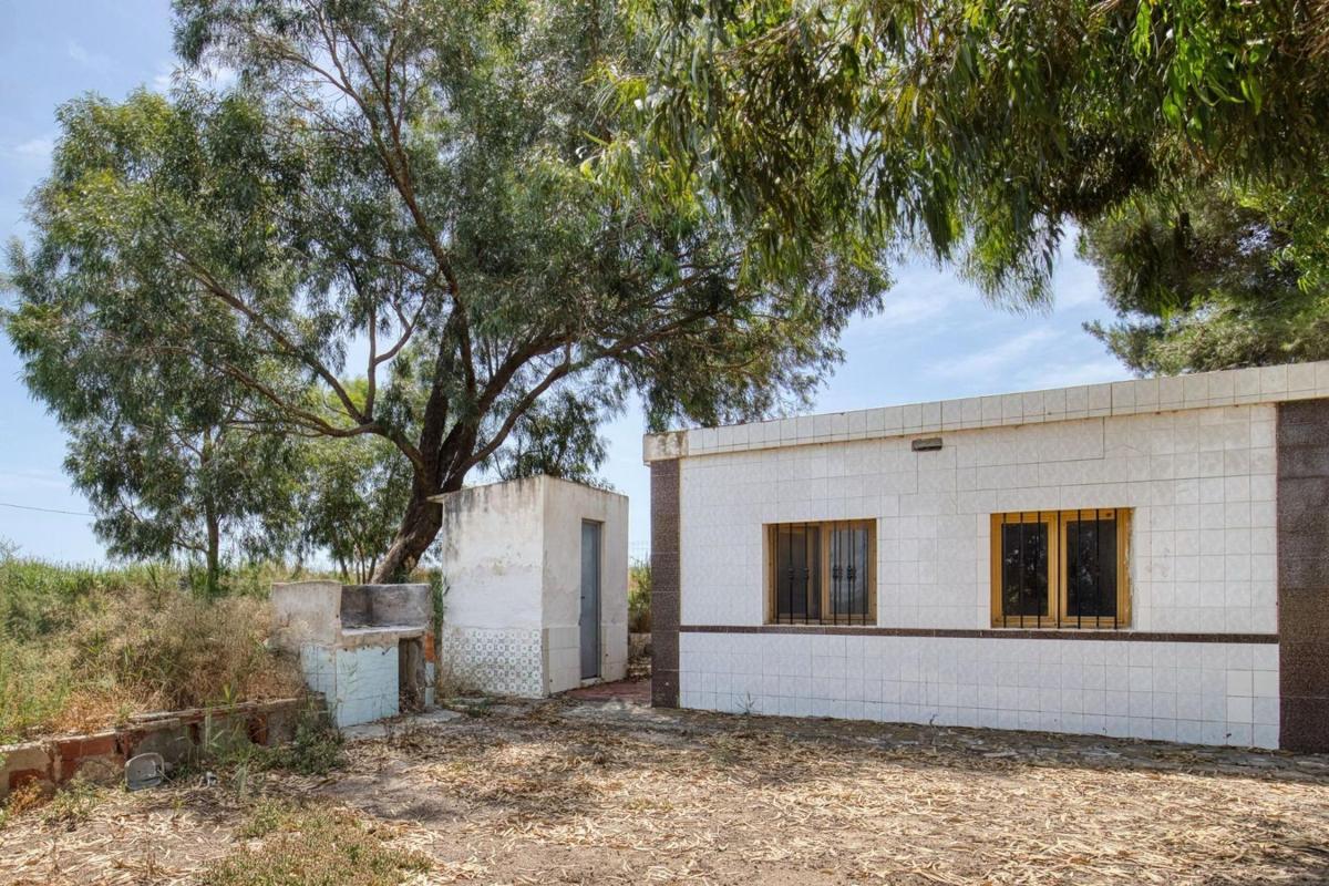 Продажа загородного участка в  Finca rústica en Partida Marina, La Marina, Elche / Elx , Эльче / Эльх photo 4