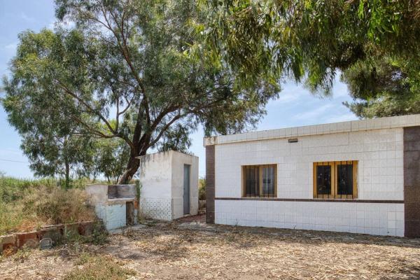 Rustic farm for sale in  Finca rústica en Partida Marina, La Marina, Elche / Elx , Elche / Elx photo 4
