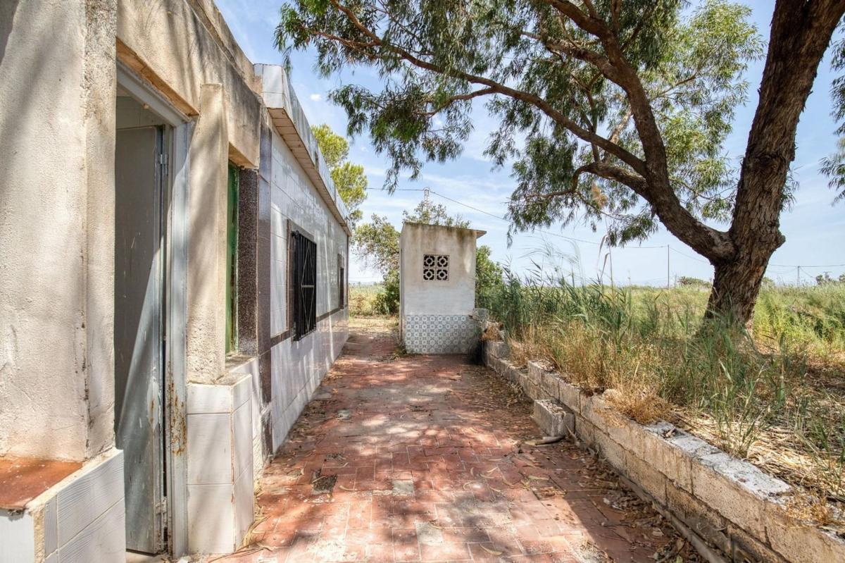 Продажа загородного участка в  Finca rústica en Partida Marina, La Marina, Elche / Elx , Эльче / Эльх photo 5