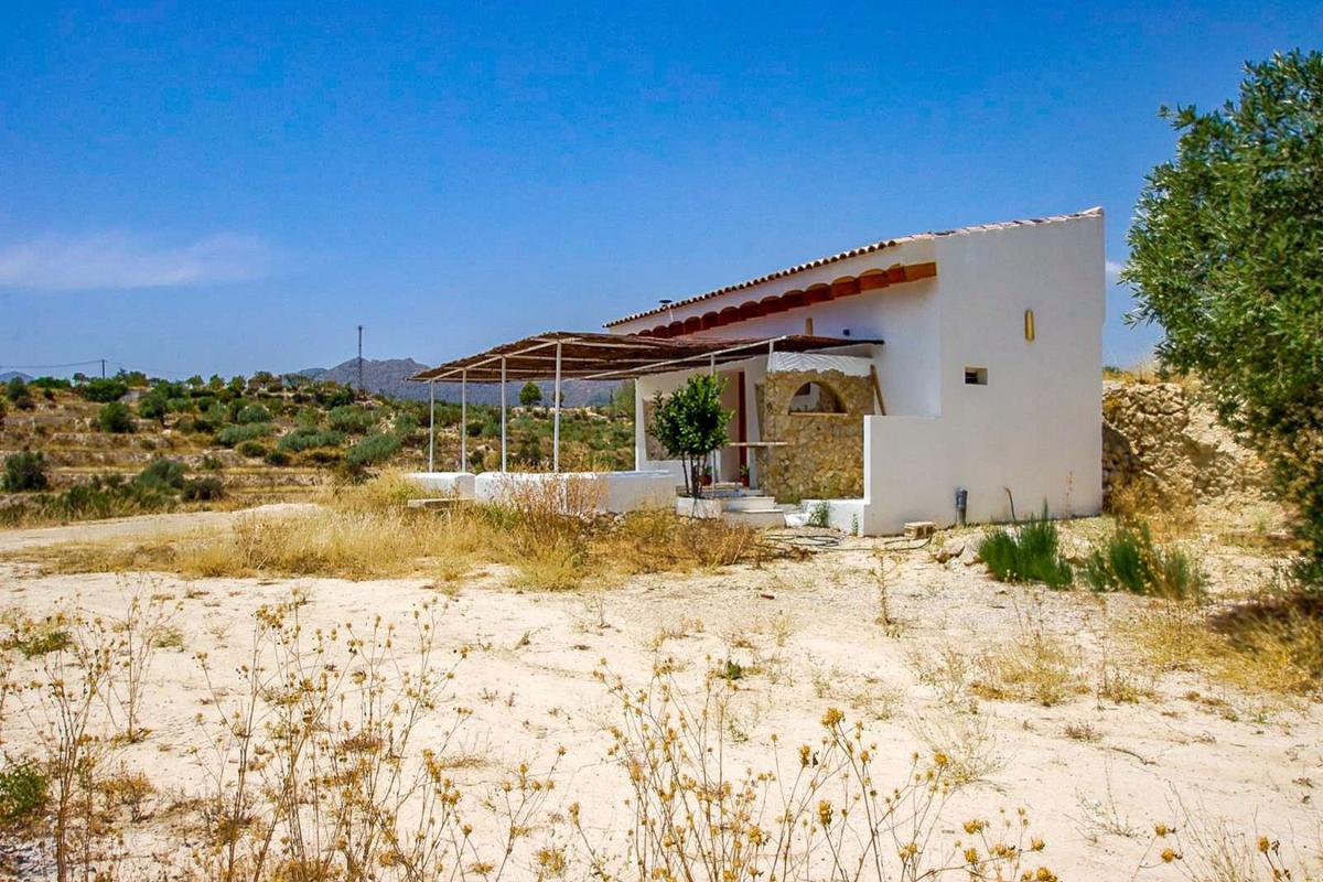 Properties for sale and rent in Spain photo 1