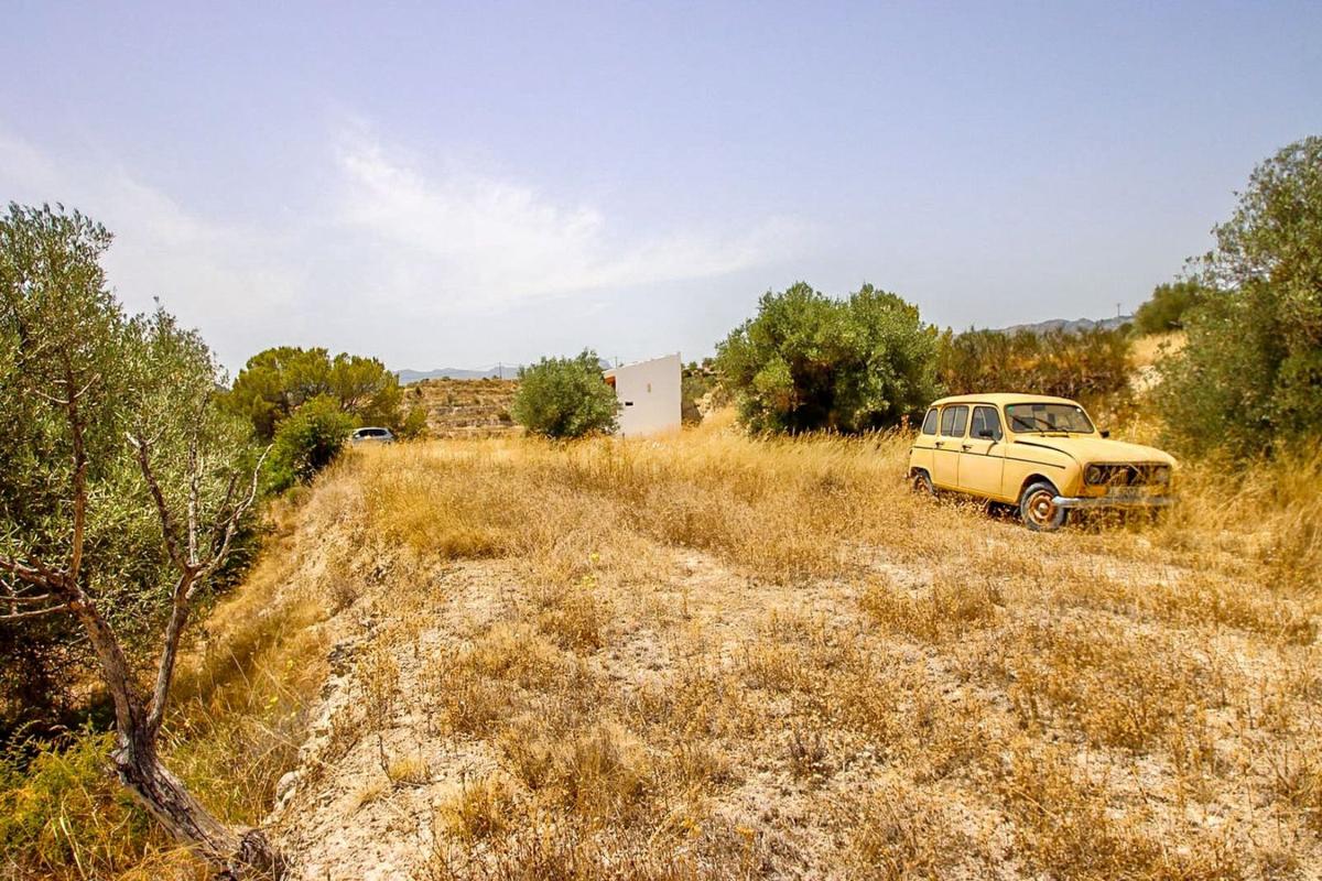 Properties for sale and rent in Spain photo 5