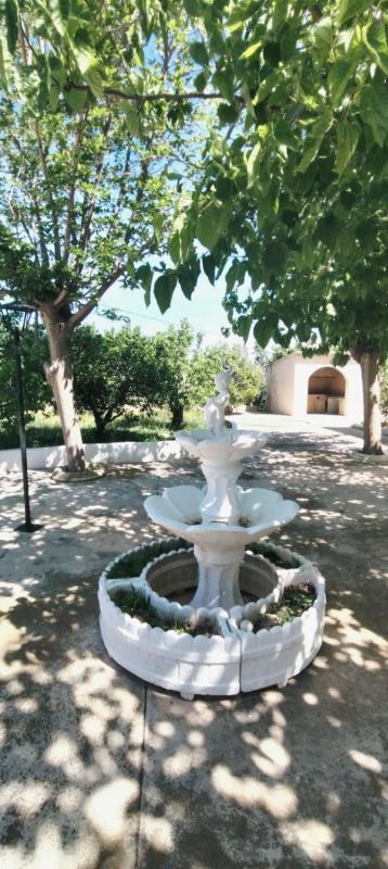 Venta de chalet independiente en Casa o chalet independiente en 62 Polígono 47 Parcela 62 2. 03680 Aspe (Alicante), Prosperidad - La Cruz, Aspe, Aspe
photo 2
