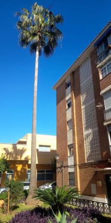 Venta de piso en Piso en Calle Pérez Galdós, 14, Centro Ciudad, Fuengirola, Fuengirola
photo 1