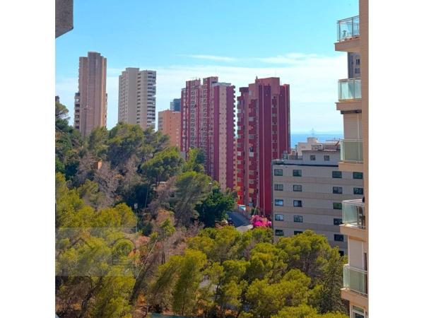 Sprzedaż mieszkania w Piso en Calle Sierra Dorada, Zona Sierra Helada, Benidorm, Benidorm
thumbnail 1