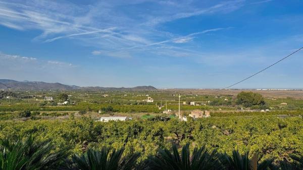 Rustic farm for sale in Finca rústica en Pego , Pego thumbnail 2