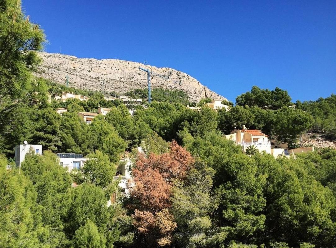 Działka na sprzedaż w Altea, Alicante photo 5