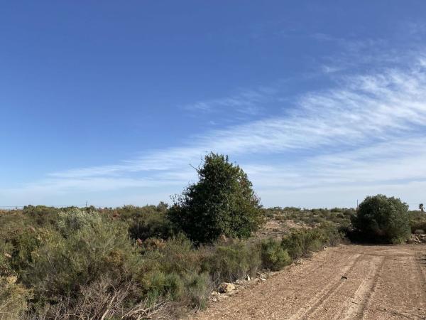 Terreno en Partida Altet, El Altet - Balsares, Elche / Elx photo 1