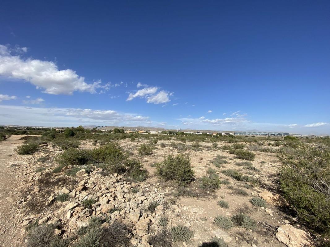 Land for sale in Elche / Elx, Alicante photo 3